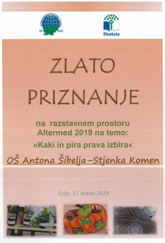 eko sola2